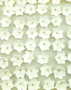 FANTASY FLOWER 1.5" 27PC. WHITE