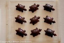 TURTLE MOLD X9