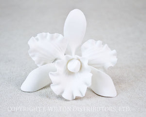 CATTLEYA ORCHID 3" 1PC. WHITE