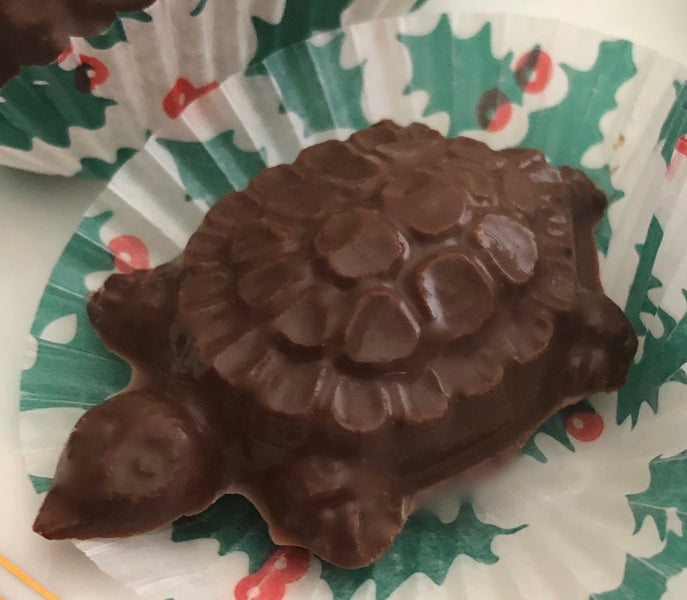 How to Make Molded Turtles
