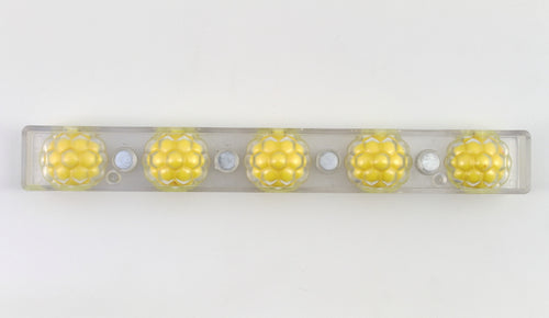 CHOCOLATE MOLD ACRYLIC RASPBERRY X5