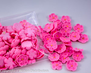 FORGET-ME-NOT ROYAL PETITE 88PC PINK