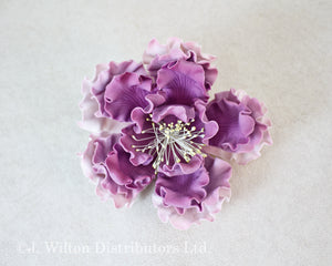 GARDEN PEONY 4.5"x4.75" PURPLE