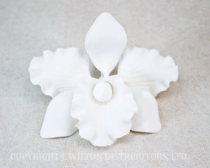 CATTLEYA ORCHID 4" 1PC. WHITE