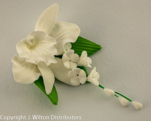 CATTLEYA FILLER  WHITE     