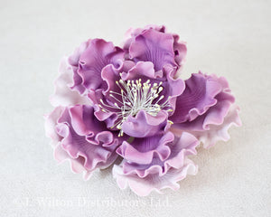 GARDEN PEONY 4.5"x4.75" PURPLE