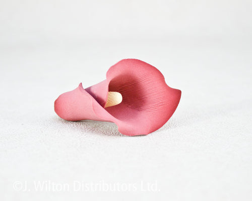 CALLA LILY 2