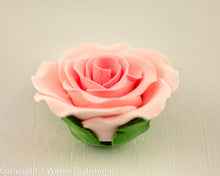 GUMPASTE ROSE LARGE 6PC. PINK