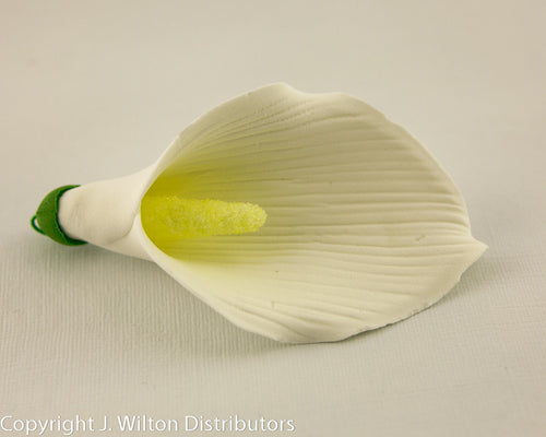 CALLA LILY 