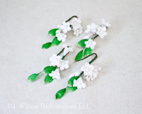 ASIAN STEPHANOTIS 4PC. WHITE