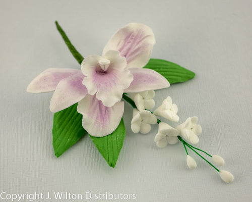 CATTLEYA FILLER LAVENDER