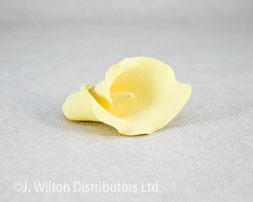 CALLA LILY 2