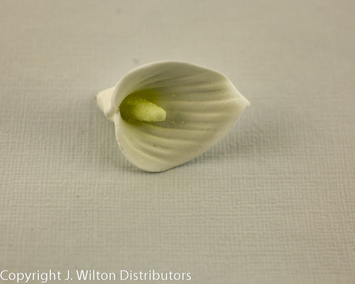 CALLA LILY P