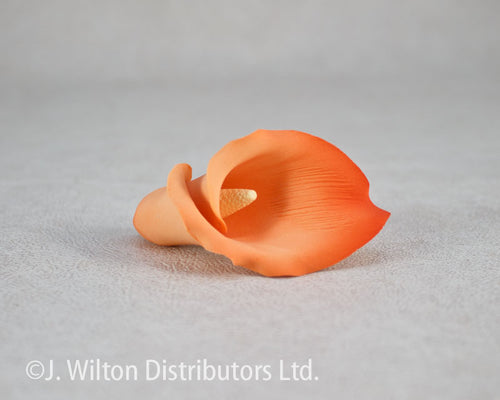 CALLA LILY 2