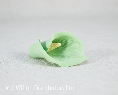 CALLA LILY 2