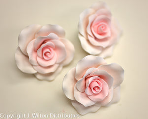 OLD FASHIONED ROSE 3" 3PC PINK  