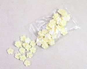 FORGET-ME-NOT ROYAL SMALL 50PC IVORY
