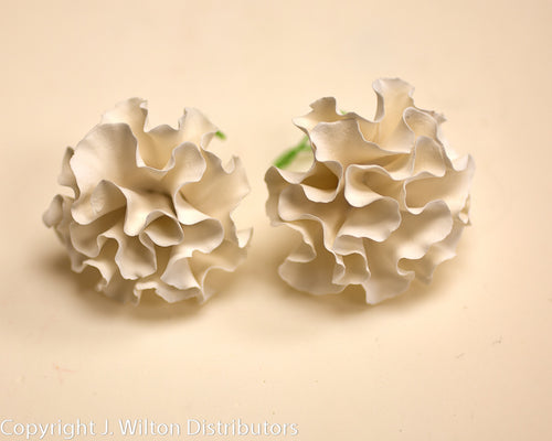 CARNATION LARGE 7PC WHITE     