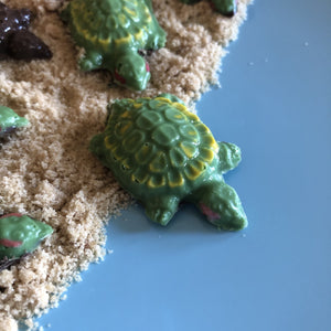 turtle chocolate mold